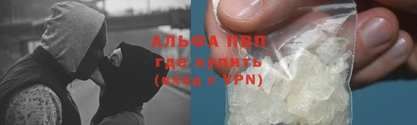 крисы Кодинск