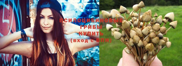крисы Кодинск